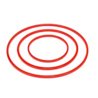 Sports Hoop: Red (45 cm.)