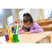 Colored Inset Pencil Holders: 11 Colors