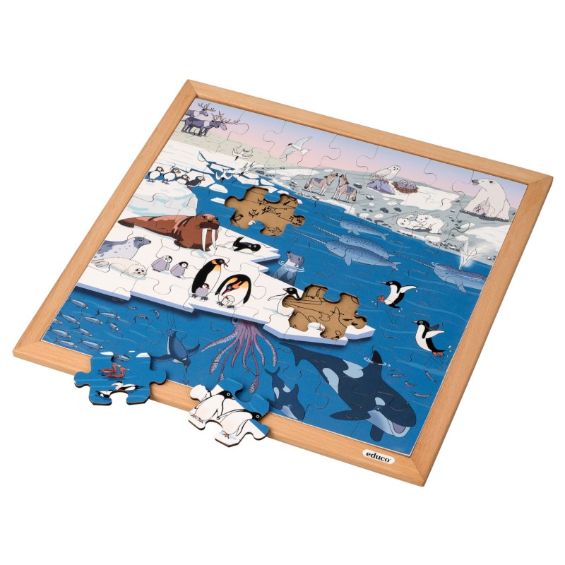 Vocabulary puzzle polar regions l Wooden puzzles l 49 puzzle pieces l Educo