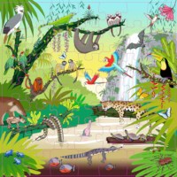 Vocabulary puzzle tropical forest l Wooden puzzles l 49 puzzle pieces l Educo