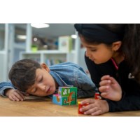Block puzzle, animals