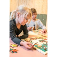 Celebration - Christmas | Educo | Jigsaw puzzle | 36 puzzle pieces | FEESTELIJK.
