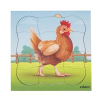 On the farm - growth chicken | Educo | layer puzzle | 31 puzzle pieces | GROEIGEHEIM.