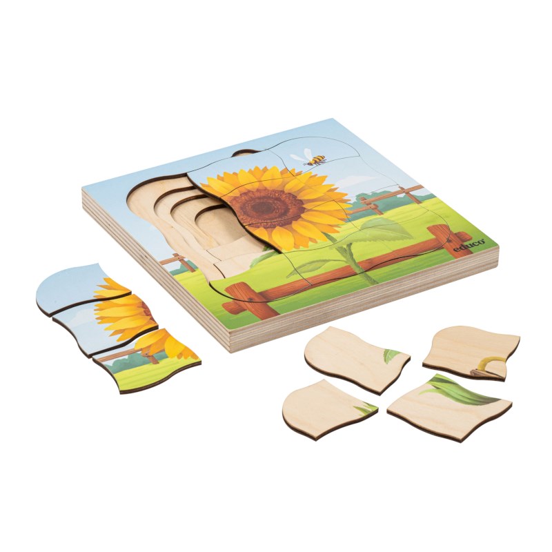 On the farm - growth sunflower | Educo | layer puzzle | 31 puzzle pieces | GROEIGEHEIM.