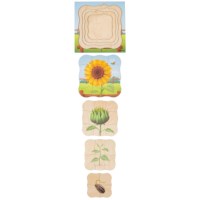 On the farm - growth sunflower | Educo | layer puzzle | 31 puzzle pieces | GROEIGEHEIM.