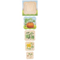 On the farm - growth pumpkin | Educo | layer puzzle | 31 puzzle pieces | GROEIGEHEIM.