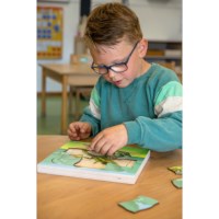 In the forest - growth frog | Educo | Layer puzzle | 31 puzzle pieces | GROEIGEHEIM.