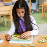 In the forest - growth frog | Educo | layer puzzle | 31 puzzle pieces | GROEIGEHEIM.