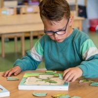In the forest - growth frog | Educo | layer puzzle | 31 puzzle pieces | GROEIGEHEIM.