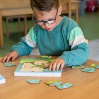 In the forest - growth frog | Educo | layer puzzle | 31 puzzle pieces | GROEIGEHEIM.