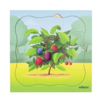 In the forest - growth blackberry bush | Educo | layer puzzle | 31 puzzle pieces | GROEIGEHEIM. 