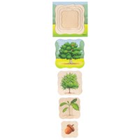 In the forest - growth oak tree | Educo | layer puzzle | 31 puzzle pieces | GROEIGEHEIM.