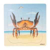 On the beach - growth crab | Educo | layer puzzle | 31 puzzle pieces | GROEIGEHEIM. 