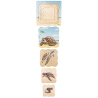On the beach - growth sea turtle | Educo | layer puzzle | 31 puzzle pieces | GROEIGEHEIM. 