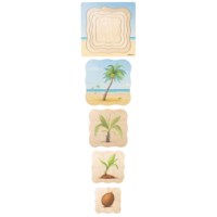 On the beach - growth coconut palm | Educo | layer puzzle | 31 puzzle pieces | GROEIGEHEIM. 