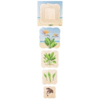 On the beach - growth bird of paradise plant | Educo | layer puzzle | 31 puzzle pieces | GROEIGEHEIM. 