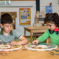 Habitats - forest | Educo | jigsaw puzzle | 49 puzzle pieces | NATUURLIJK.
