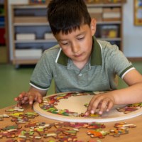 Habitats - forest | Educo | jigsaw puzzle | 49 puzzle pieces | NATUURLIJK.