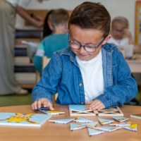 Triangle game - animal art | Educo | game box | FIGUURLIJK.