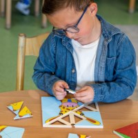 Triangle game - animal art | Educo | game box | FIGUURLIJK.