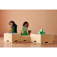 Magnetic Building Blocks Jungle 38 pieces