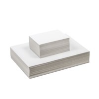 Prick cardboard white - 12.5 x 17.5 cm, 250 g, pack of 250