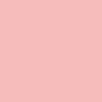 Interpaint - 1 Litre bottle - Light pink