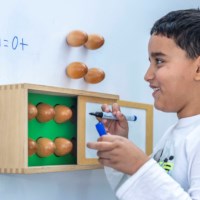 Counting eggs