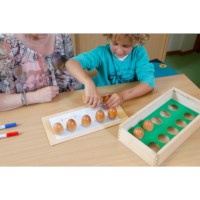 Counting eggs