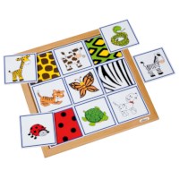 Sorting lotto - animals and their fur