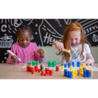 Bear sorting game