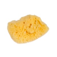 Natural Sponge: Small