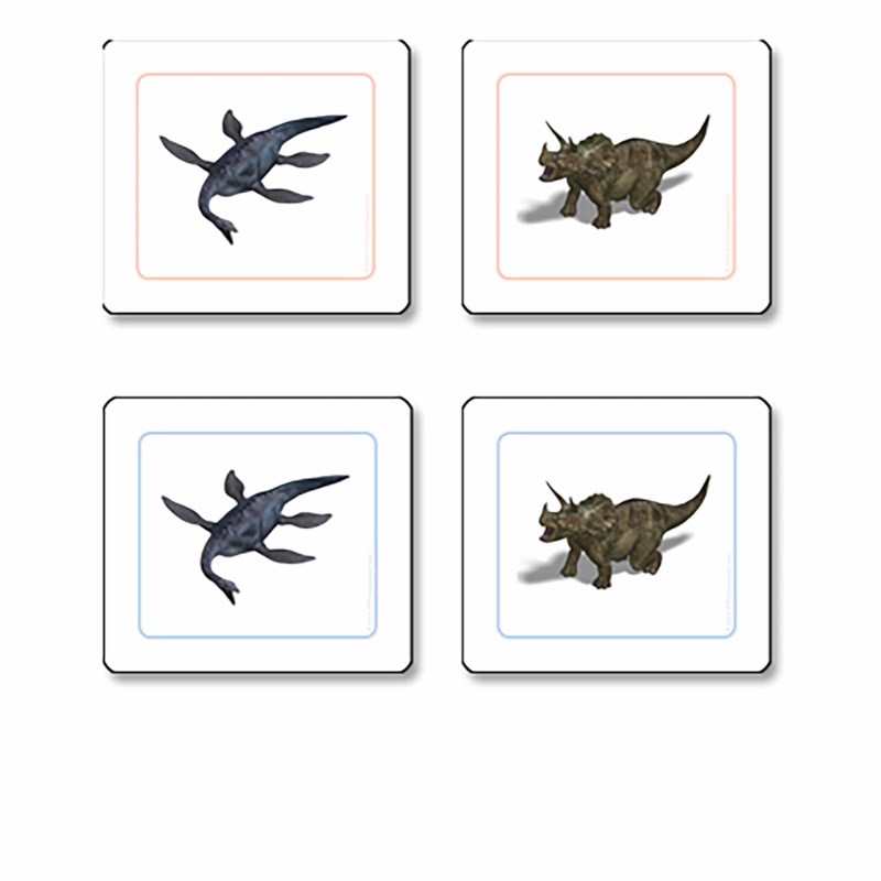 Dinosaur Matching Cards