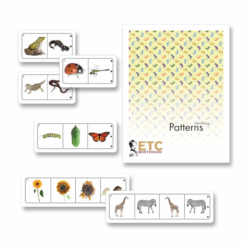 Looking For Patterns In Life Science Heutink International
