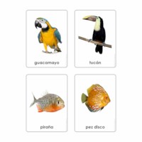 Animals Of The Seven Continents