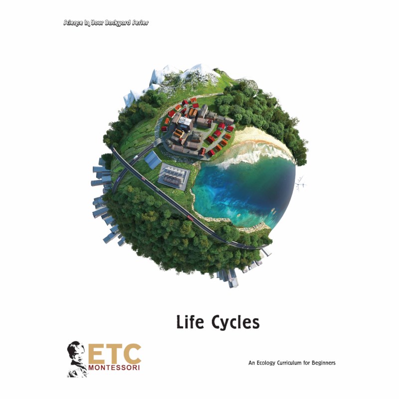 Life Cycle Curriculum