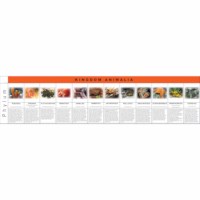 Animalia Kingdom Charts