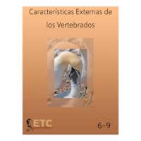 External Characteristics Of Vertebrates