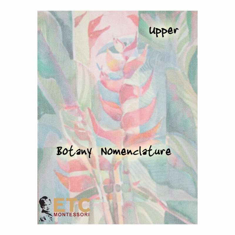 Upper Elementary Botany Nomenclature