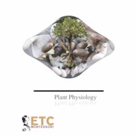 Plant Physiology